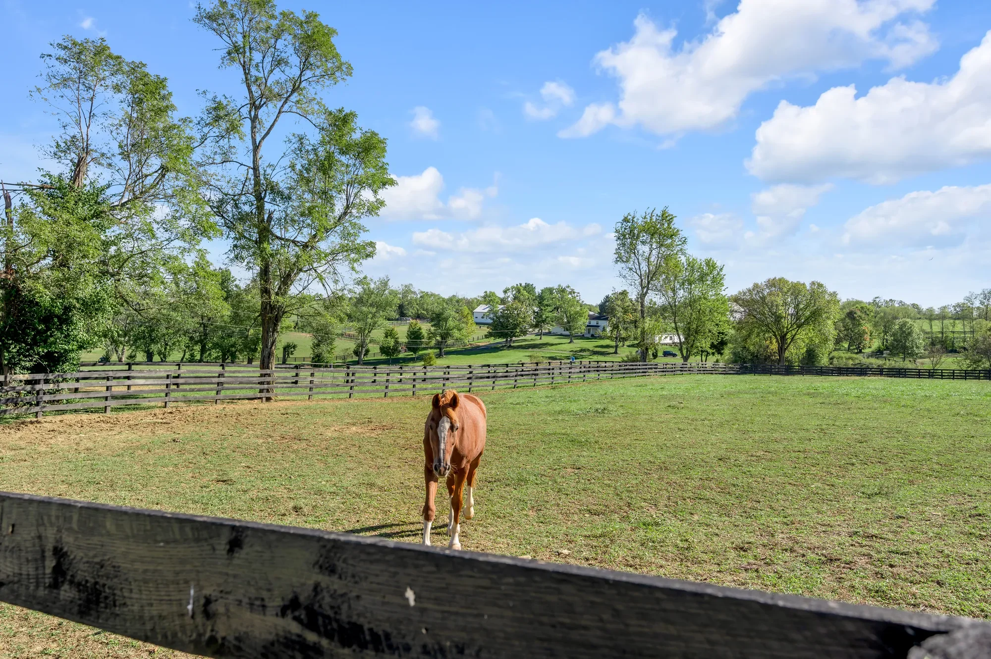 2788 Frankfort Road, Georgetown, KY 40324, Midway, Kentucky, United States. - Photo 81