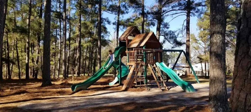 161 Flamingo Court, Monticello, Georgia, United States. - Photo 41