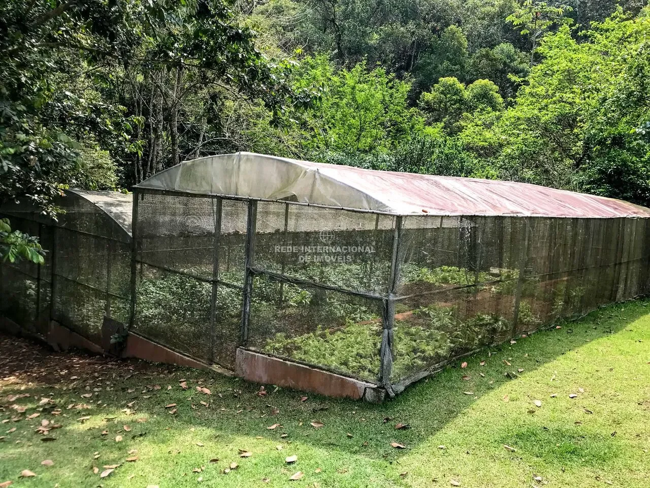 Margem Esquerda, State of Santa Catarina, Brazil. - Photo 16