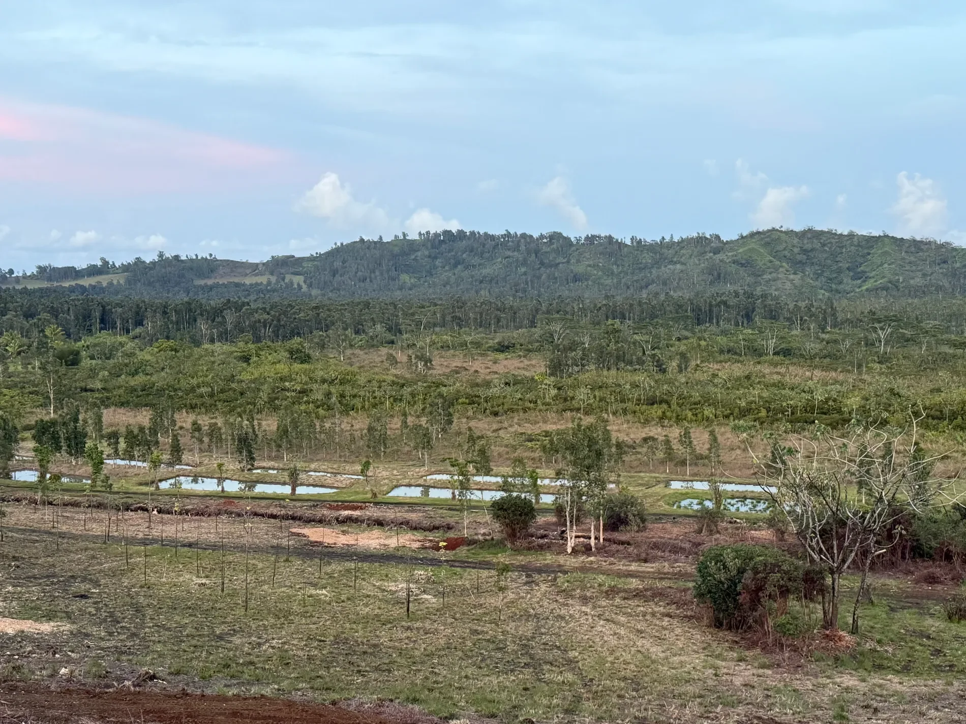 2818 KAMOOKOA RD, #5, Kilauea, HI, 96722, USA, Kilauea, Hawaii, United States. - Photo 23