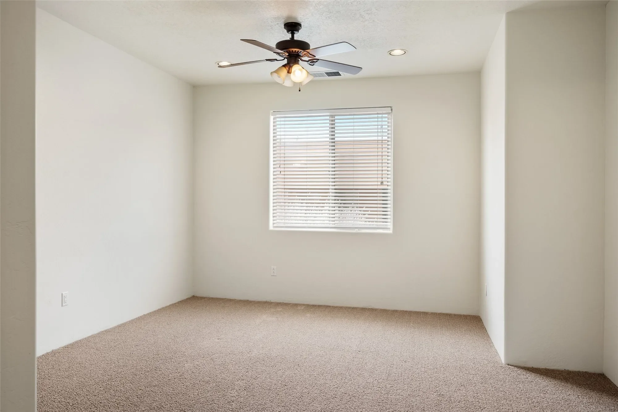 Gallery photo 11