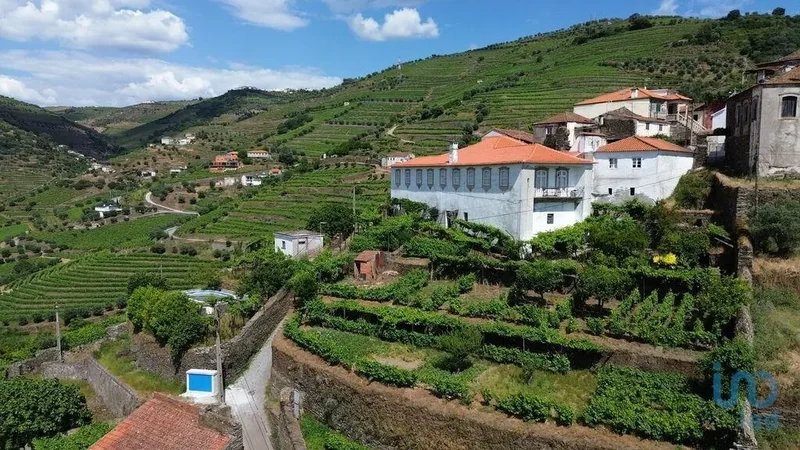 Vilarinho dos Freires, Peso da Régua, Vila Real, Peso da Régua, Peso da Régua, Vila Real District, Portugal. - Photo 28