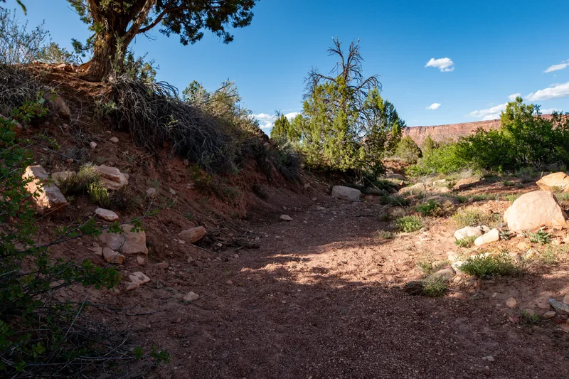 Sinbad Ranch , Gateway, CO 81522, Gateway, Colorado, United States. - Photo 48