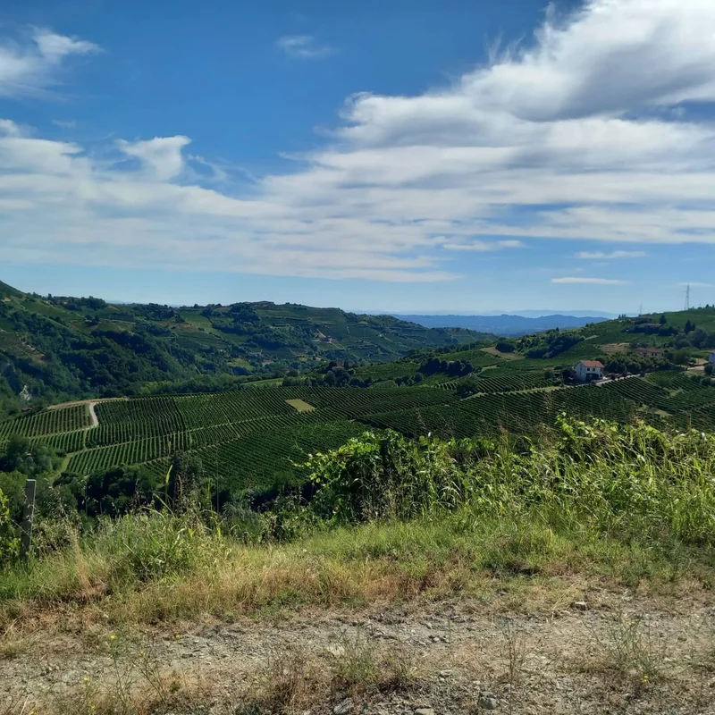frazione Camo, regione Casa Cich , 0 Santo Stefano Belbo (Cuneo), Colombaro Ferraris, Cuneo, Piedmont, Italy. - Photo 33