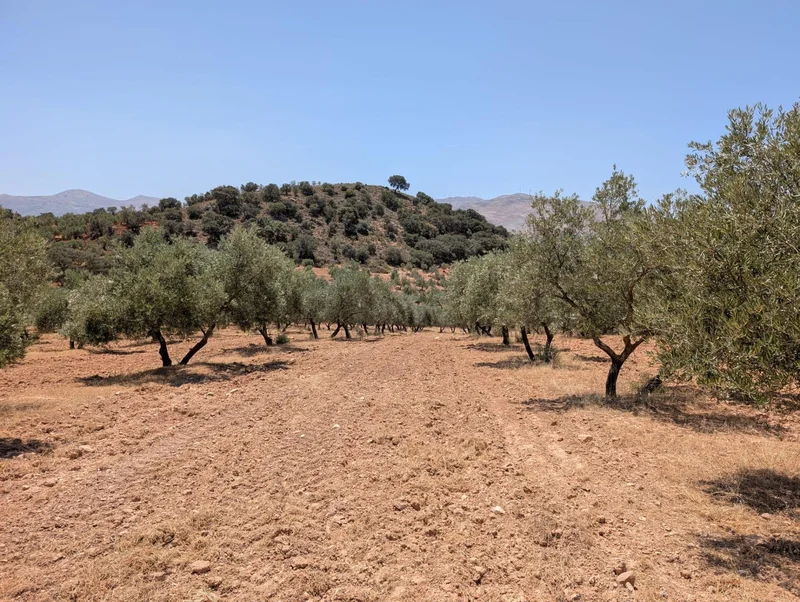 Andalucia, Loja, GRANADA, Loja, Loja, Andalusia, Spain. - Photo 90