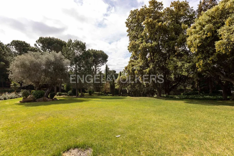Calle del Camino del Sur, La Moraleja, Alcobendas, Community of Madrid. - Photo 20