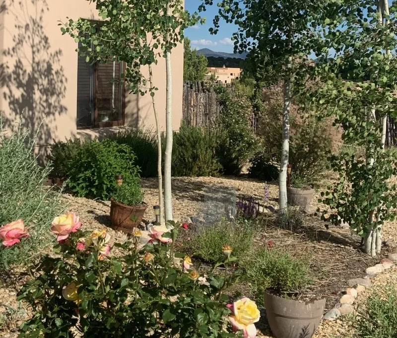 12 Via Optima, Santa Fe, NM 87507, Santa Fe, New Mexico, United States. - Photo 53