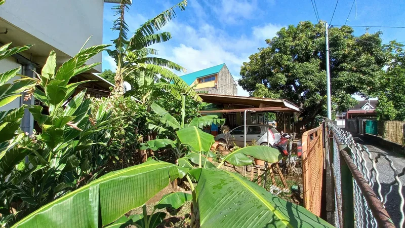 Papeete, Papeete, Pape'ete, Windward Islands, French Polynesia. - Photo 3