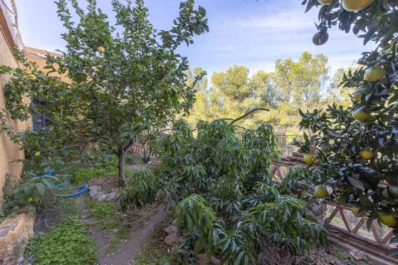 Los pinos, Almuñecar, GRANADA, Almuñecar, Centro, Madrid, Spain. - Photo 13
