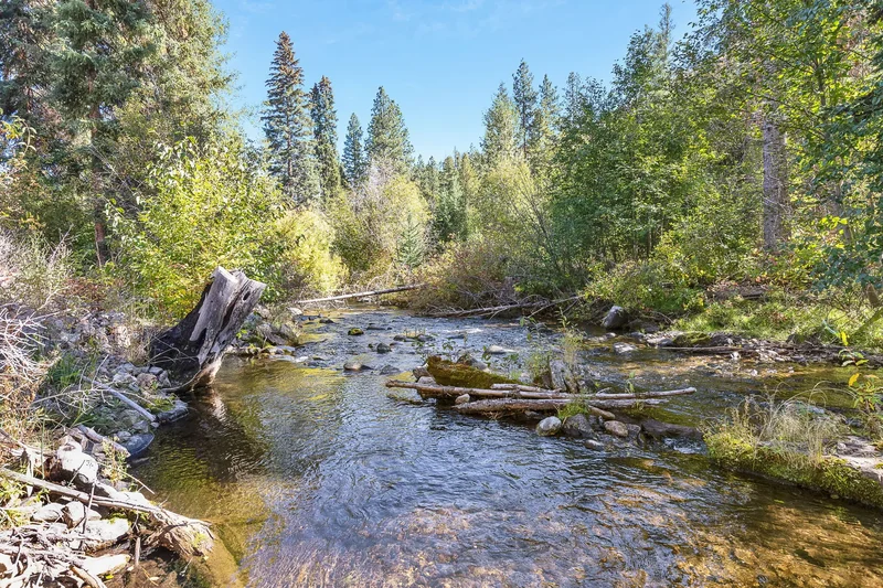 162 Medicine Springs Road, Conner, MT 59827, Conner, Montana, United States. - Photo 24