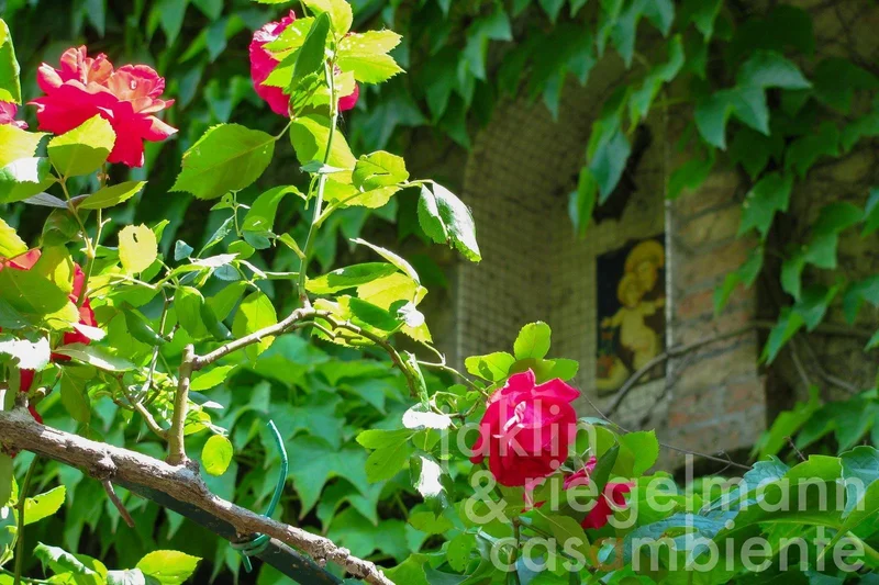 Umbria, Rancolfo, Umbria, Italy. - Photo 30