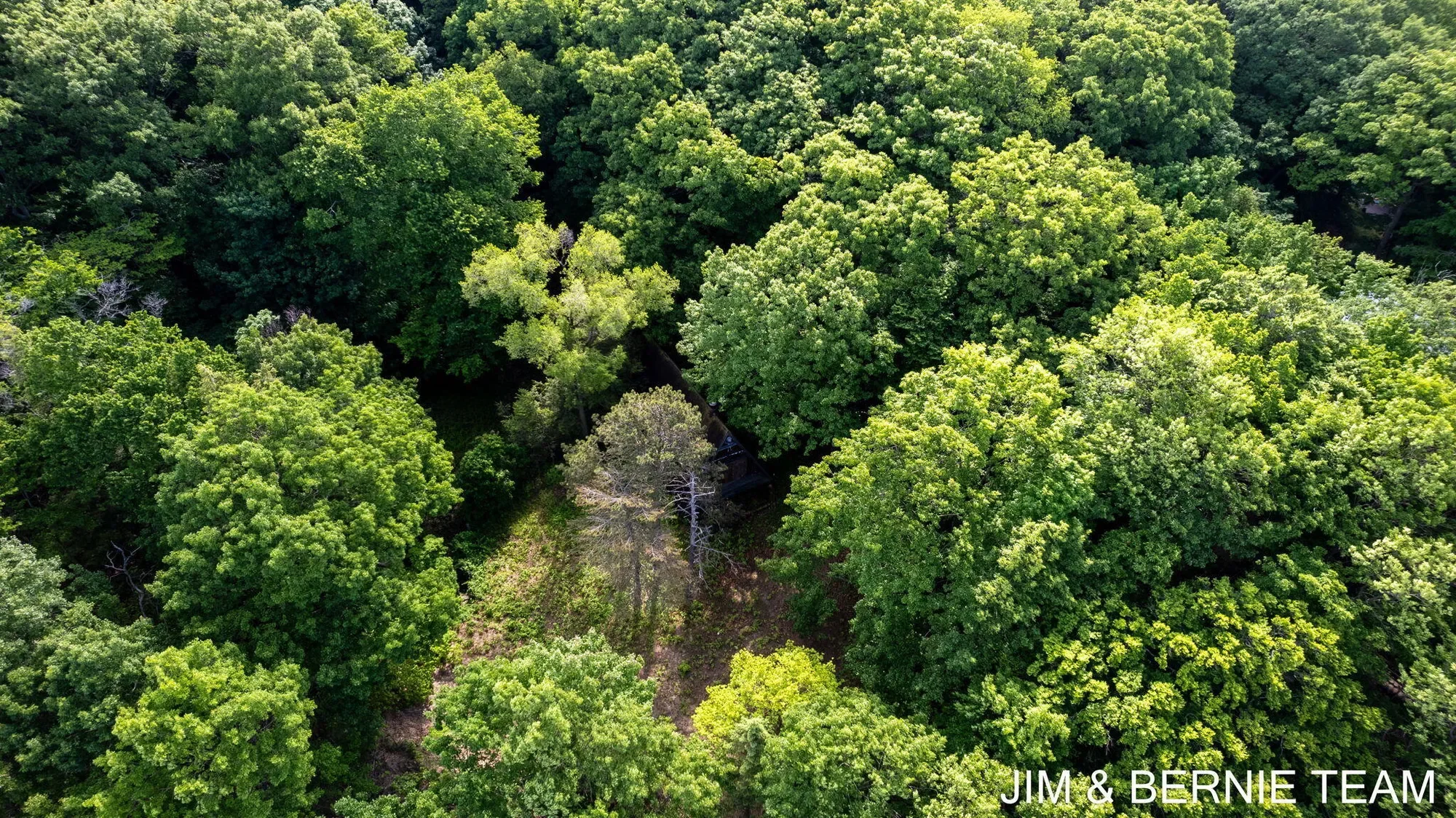 4036 Hillside Trail, Holland, MI 49423, Holland, Michigan, United States. - Photo 20