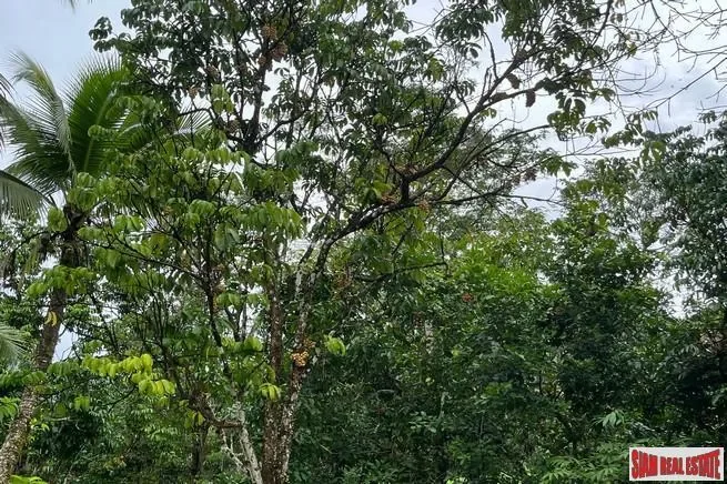Phang Nga,, Thai Mueang, Phang-nga, Thailand. - Photo 10