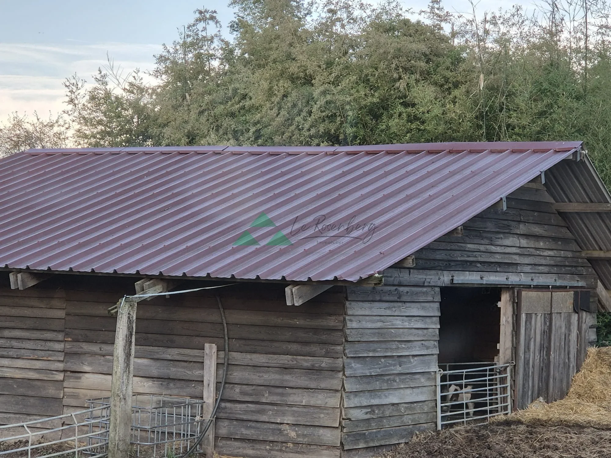 Exterior photo 4