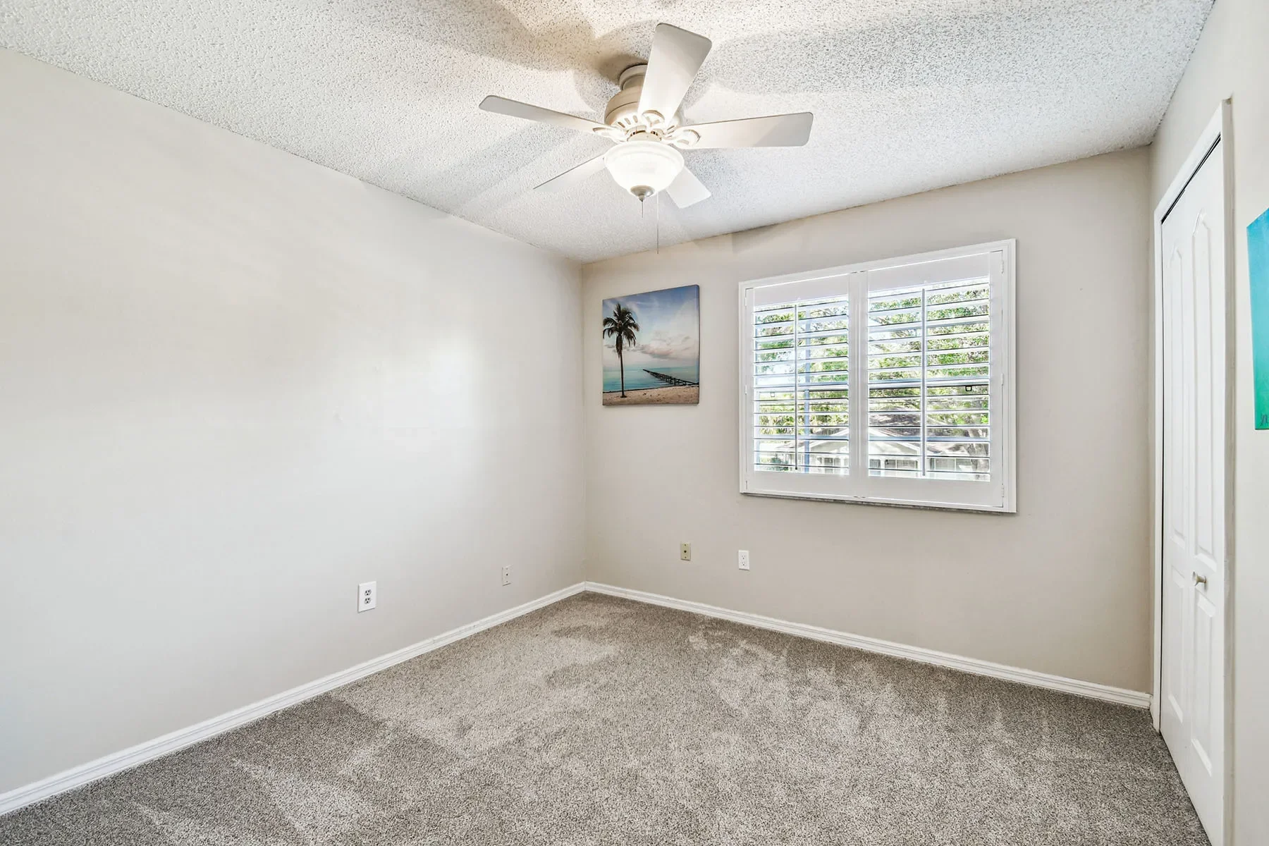 3710 W Tacon Street, Tampa, FL 33629, Tampa, Florida, United States. - Photo 32
