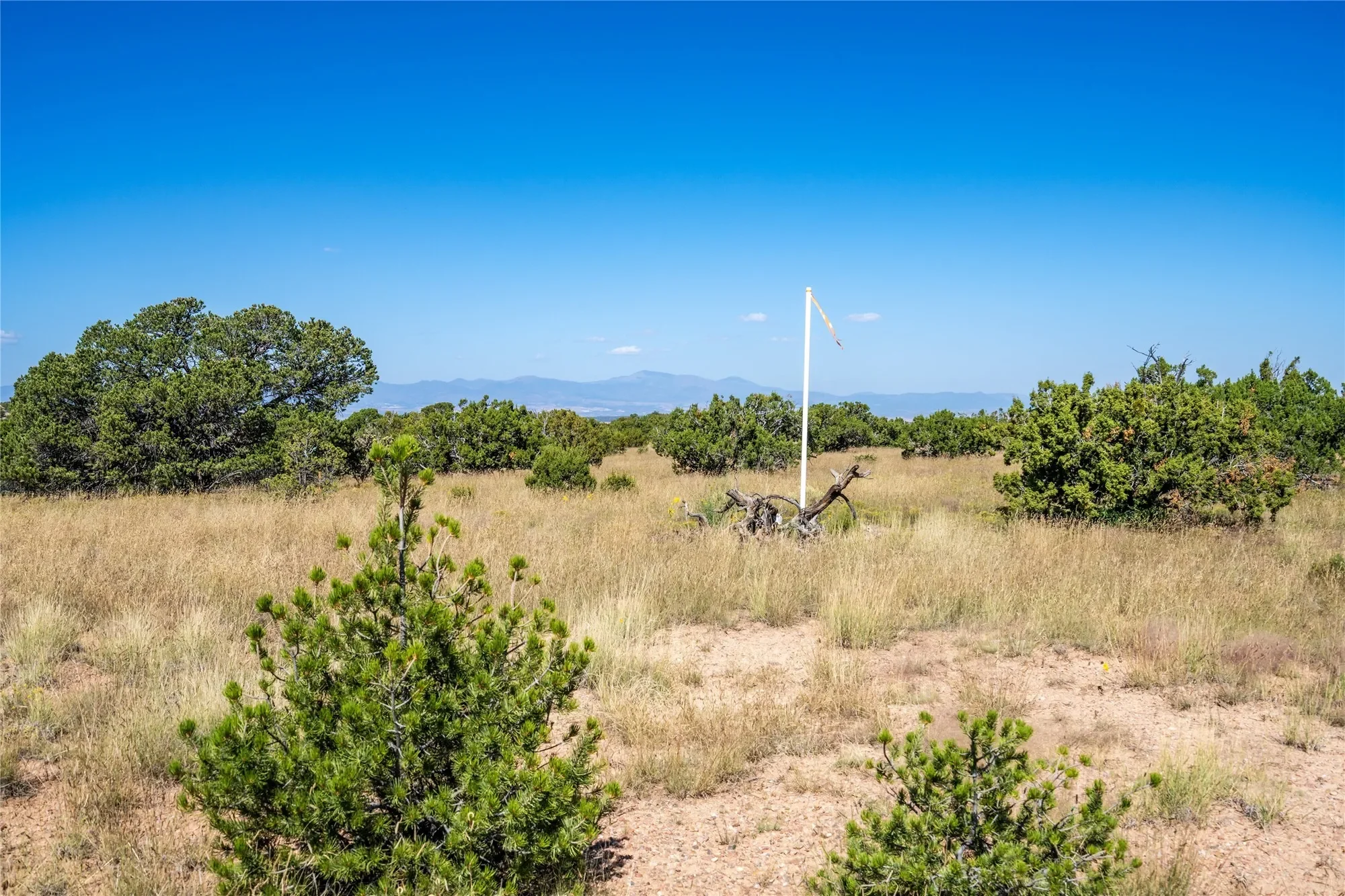 72 Sendero Encanto, Santa Fe, NM 87506, Santa Fe, New Mexico, United States. - Photo 13