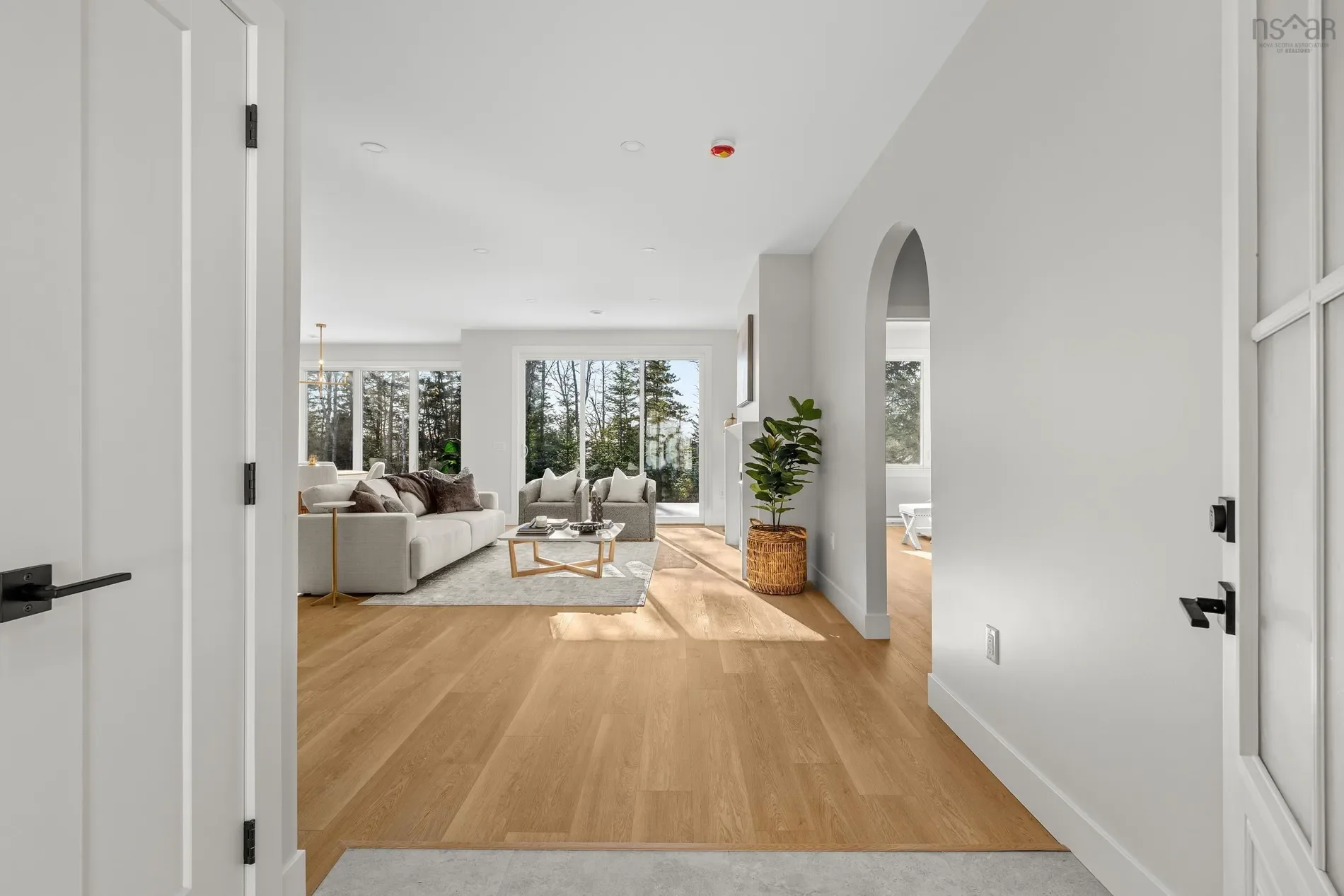 Gallery photo 5