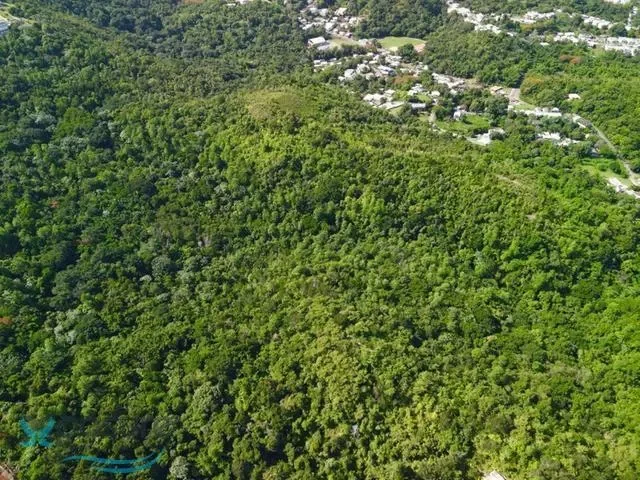 Mayaguez CARR 349 Km 1.01, Quebrada Grande, Mayagüez, Puerto Rico. - Photo 8