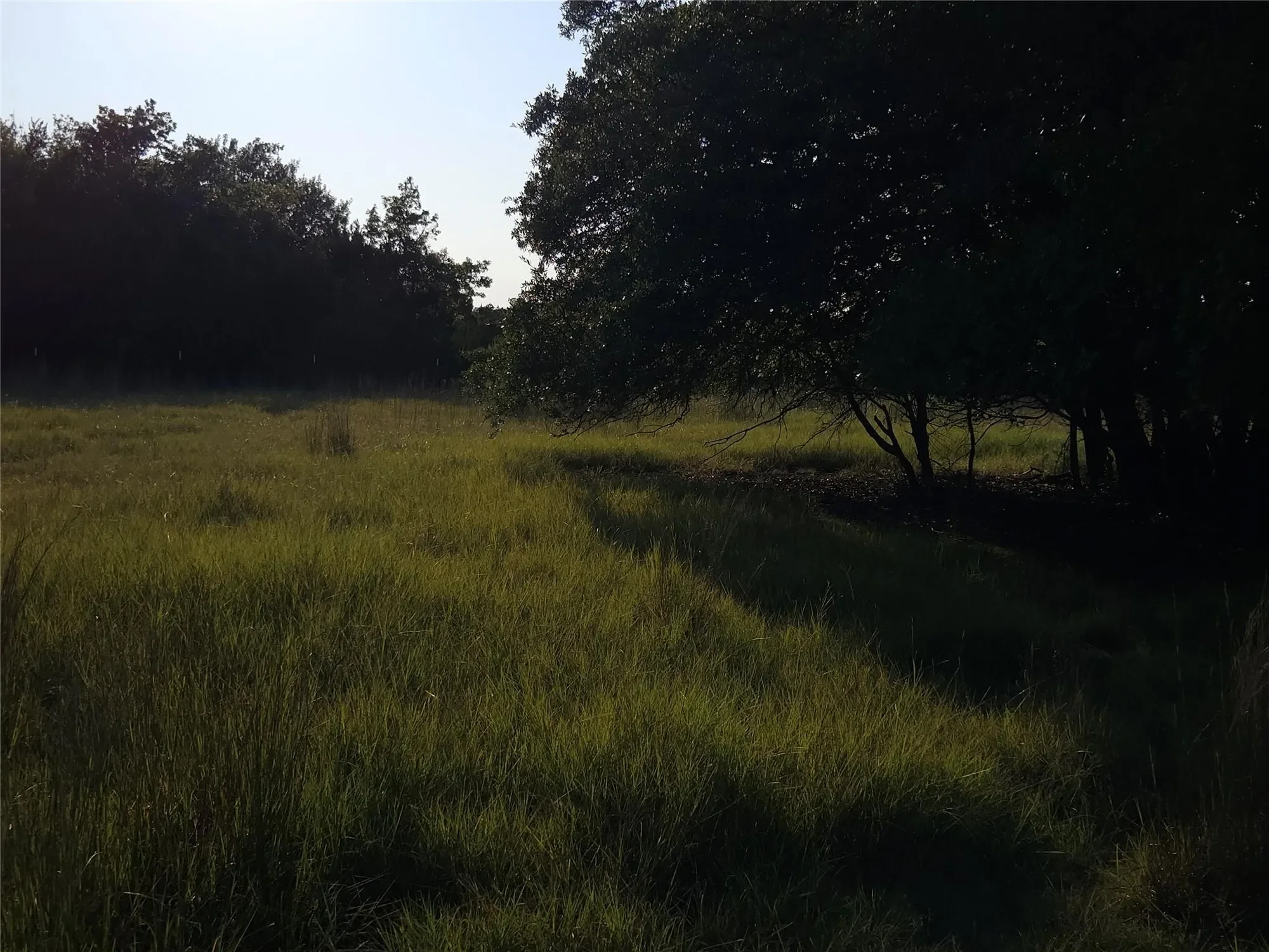 2217 Downing LN, Leander, Texas, United States. - Photo 13