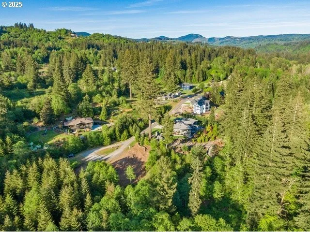 00 Thompson DR #Lot #3, Washougal, WA 98671, Washougal, Washington, United States. - Photo 47