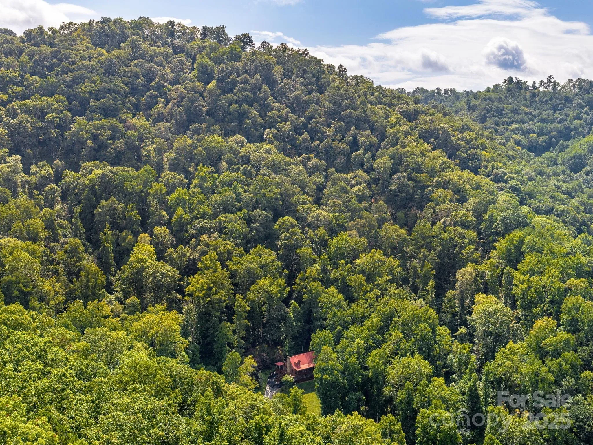 420 Chimney Rock Drive, Weaverville, NC 28787, Weaverville, North Carolina, United States. - Photo 34