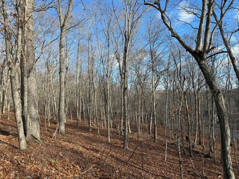 Chesterfield Road, East Lyme, CT 06333, East Lyme, Connecticut, United States. - Photo 1