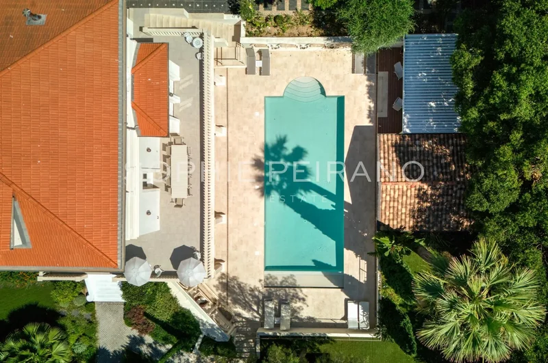 Cannes, Provence-Alpes-Côte d'Azur, France. - Photo 6
