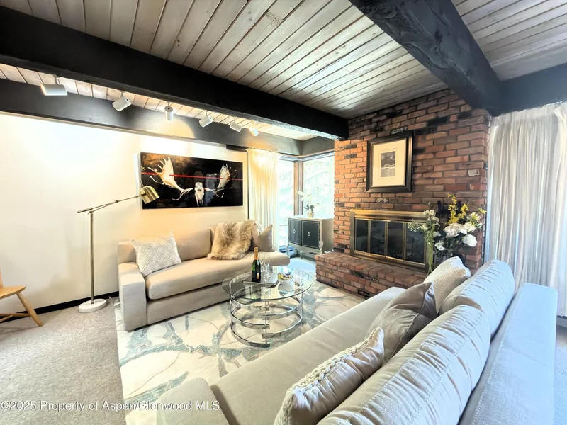 1034 E COOPER Avenue 19, Aspen, Colorado, United States. - Photo 8