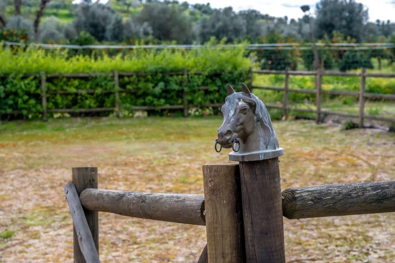 Beja, Selmes, Beja District, Portugal. - Photo 29