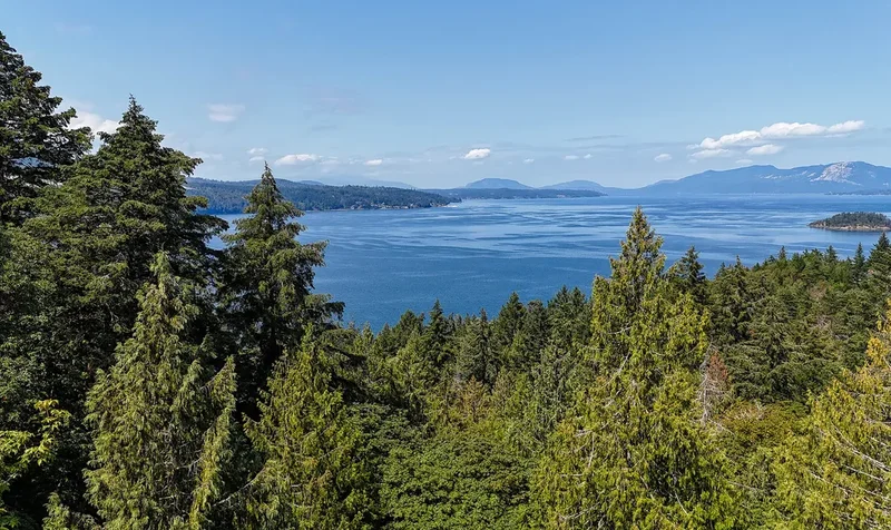 42+ Acres With Ocean Views