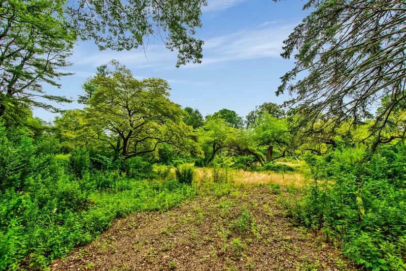 172 Hegemans Lane , Old Brookville, NY 11545, Old Brookville, New York, United States. - Photo 2
