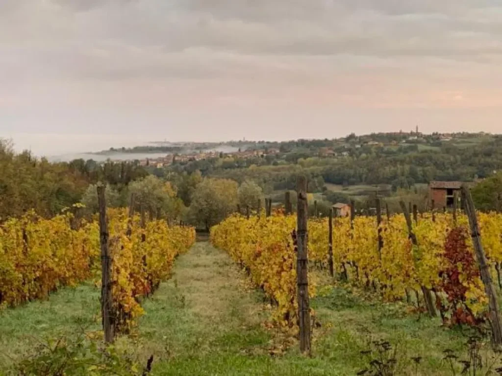 15051 Carezzano AL, Italy, Carezzano Superiore, Piedmont, Italy. - Photo 9
