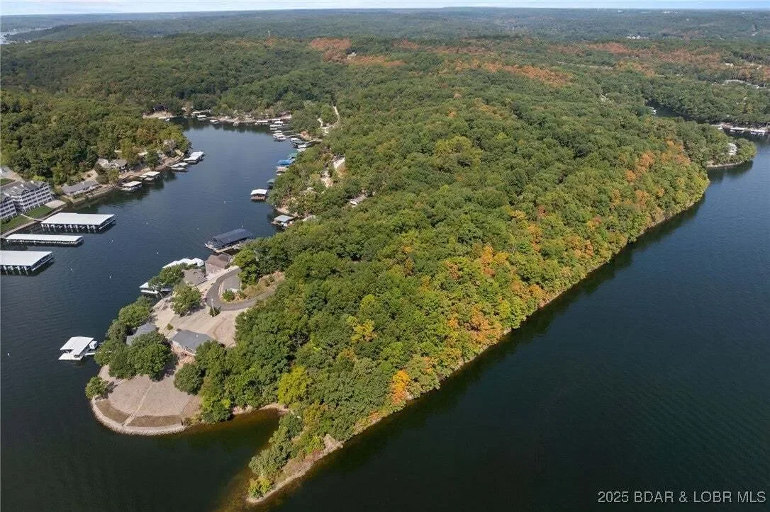 Gallery photo 9