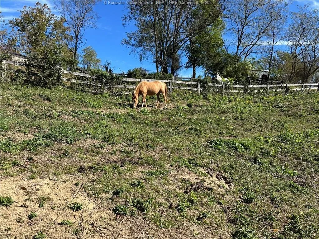365 Astor Lane, Point Pleasant, WV 25550, Point Pleasant, West Virginia, United States. - Photo 18