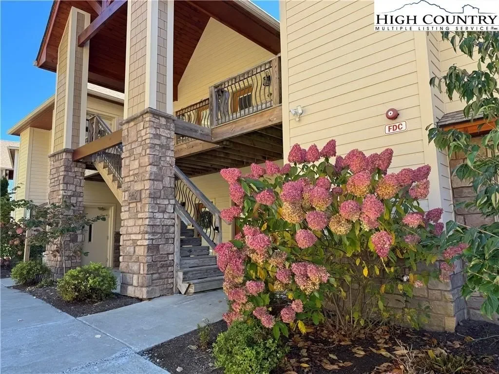 Gallery photo 6