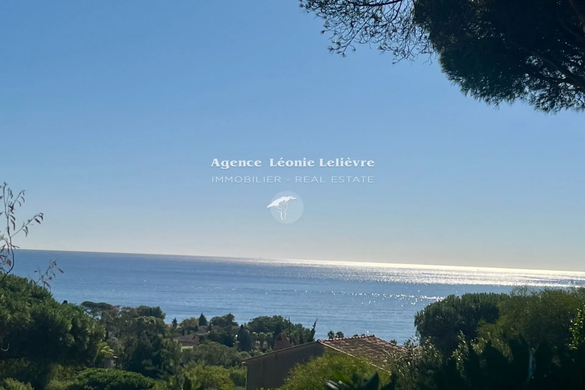 Roquebrune-sur-Argens, Provence-Alpes-Côte d'Azur, France. - Photo 4