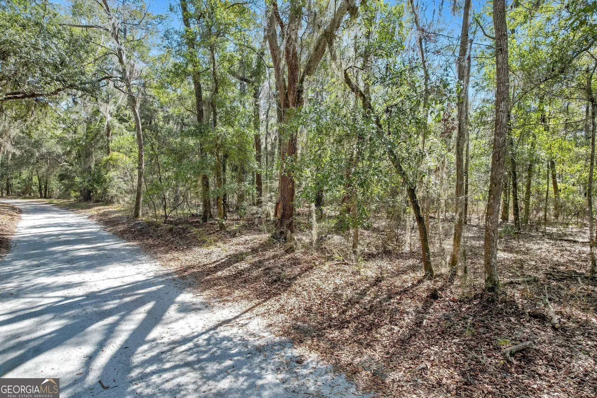 0 Drizzle Bluff Road, Woodbine, GA 31569, Woodbine, Georgia, United States. - Photo 9