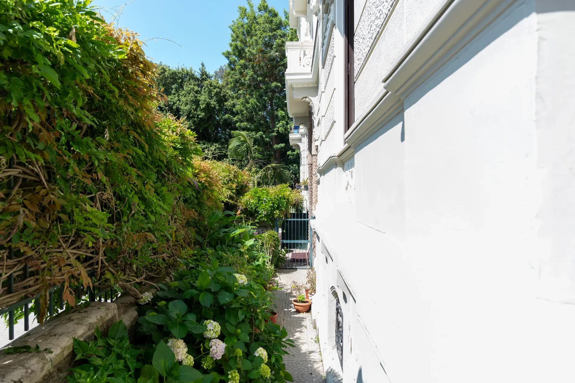 Exterior photo 4