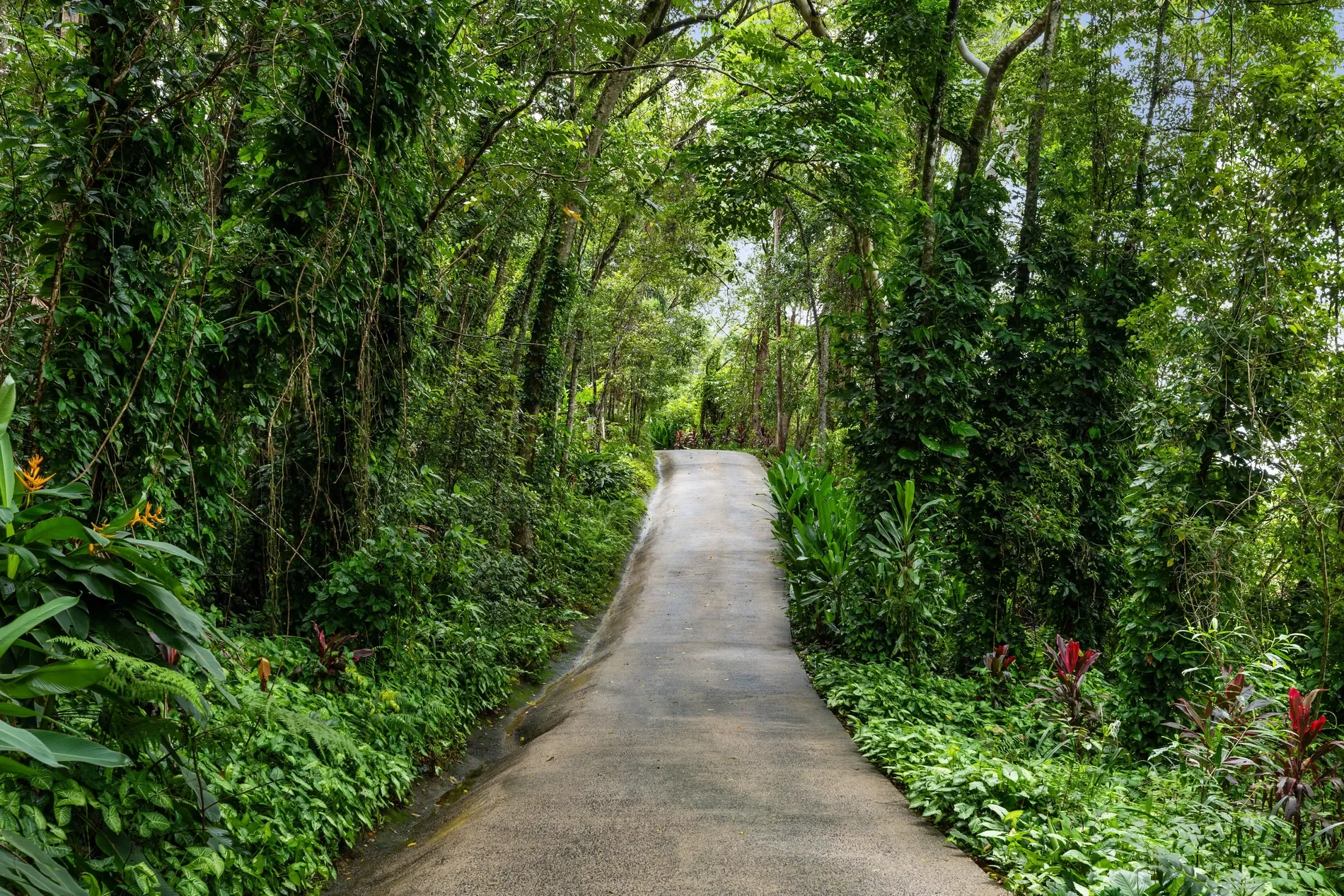 Coral Sea Dr, Mossman Gorge QLD 4873, Australia, Mossman Gorge, Queensland, Australia. - Photo 17