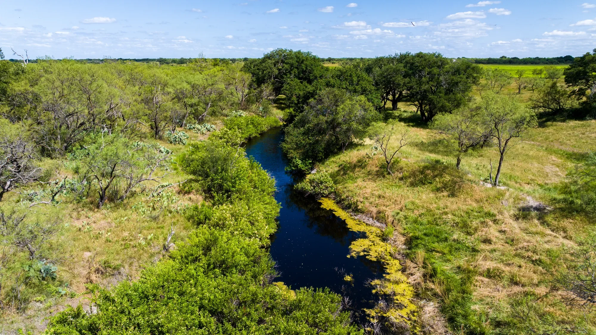Brady Creek Ranch CR 3388, Melvin, TX 76858, Melvin, Texas, United States. - Photo 56