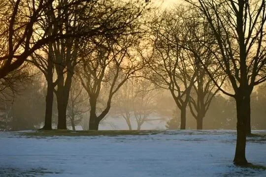 7513 W Tuckaway Pines Cir, Franklin, WI 53132, Franklin, Wisconsin, United States. - Photo 19