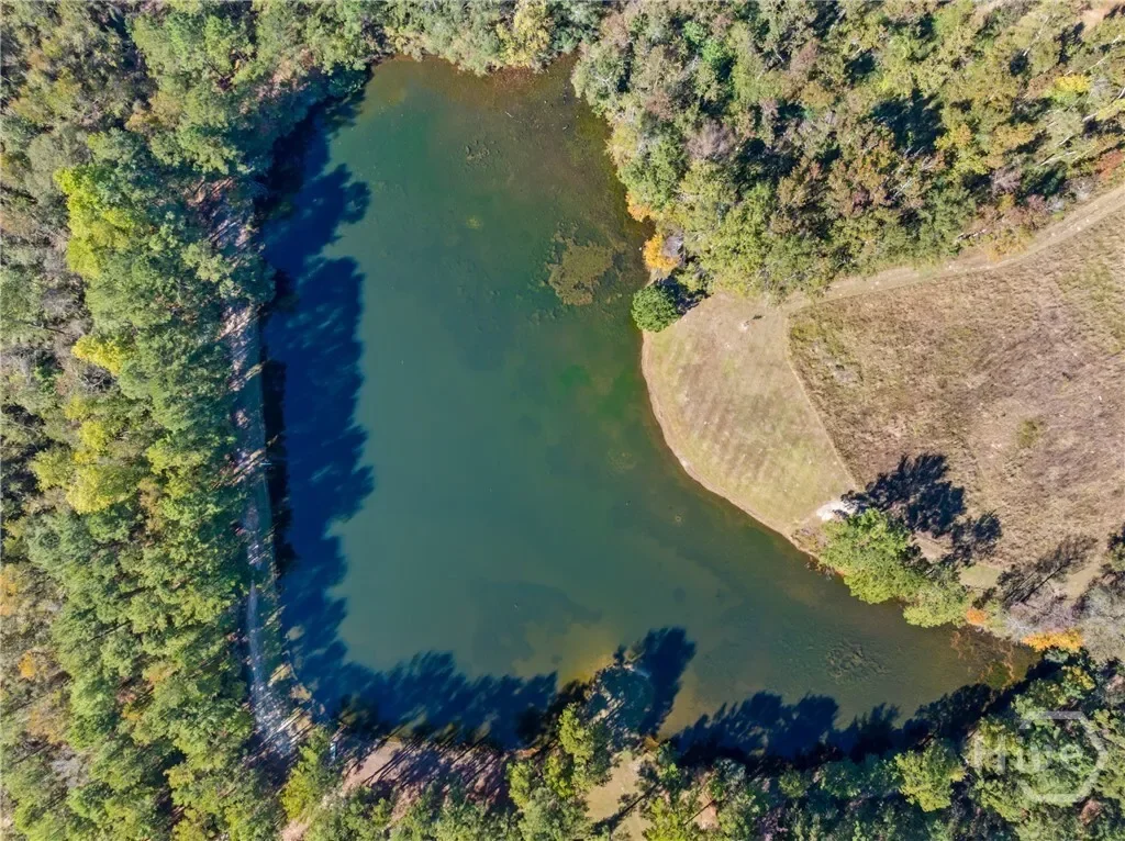 0 Honey Ridge Road, Millen, Georgia, United States. - Photo 42