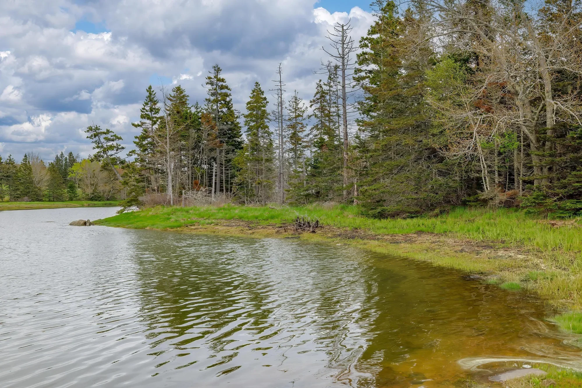 17 Barbour Farm Road, Stonington, ME 04681, Stonington, Maine, United States. - Photo 31