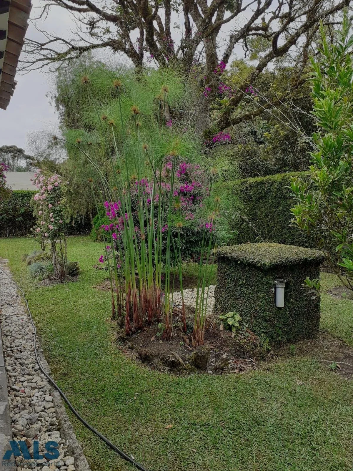 Exterior photo 5