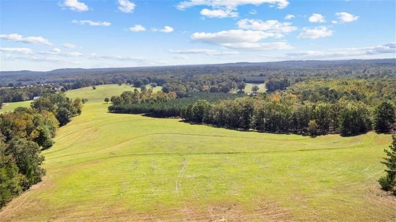 5225 Chalybeate Springs Road, Woodland, GA 31836, Woodland, Georgia, United States. - Photo 31