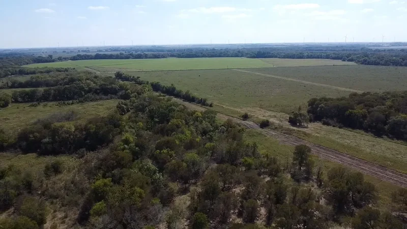 Tbd SW CR 3160, Dawson, TX 76639, Hubbard, Texas, United States. - Photo 29