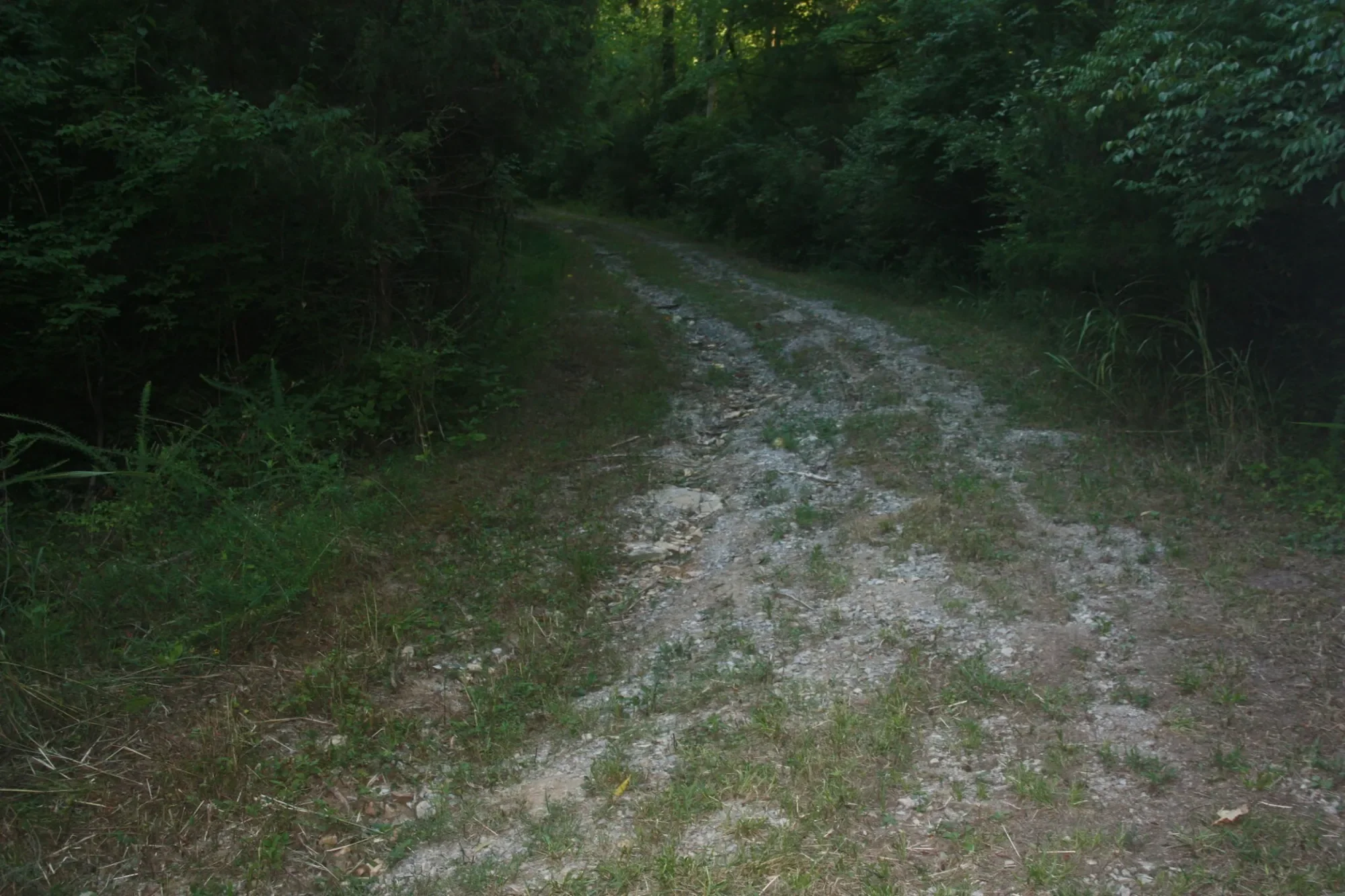 Gallery photo 11