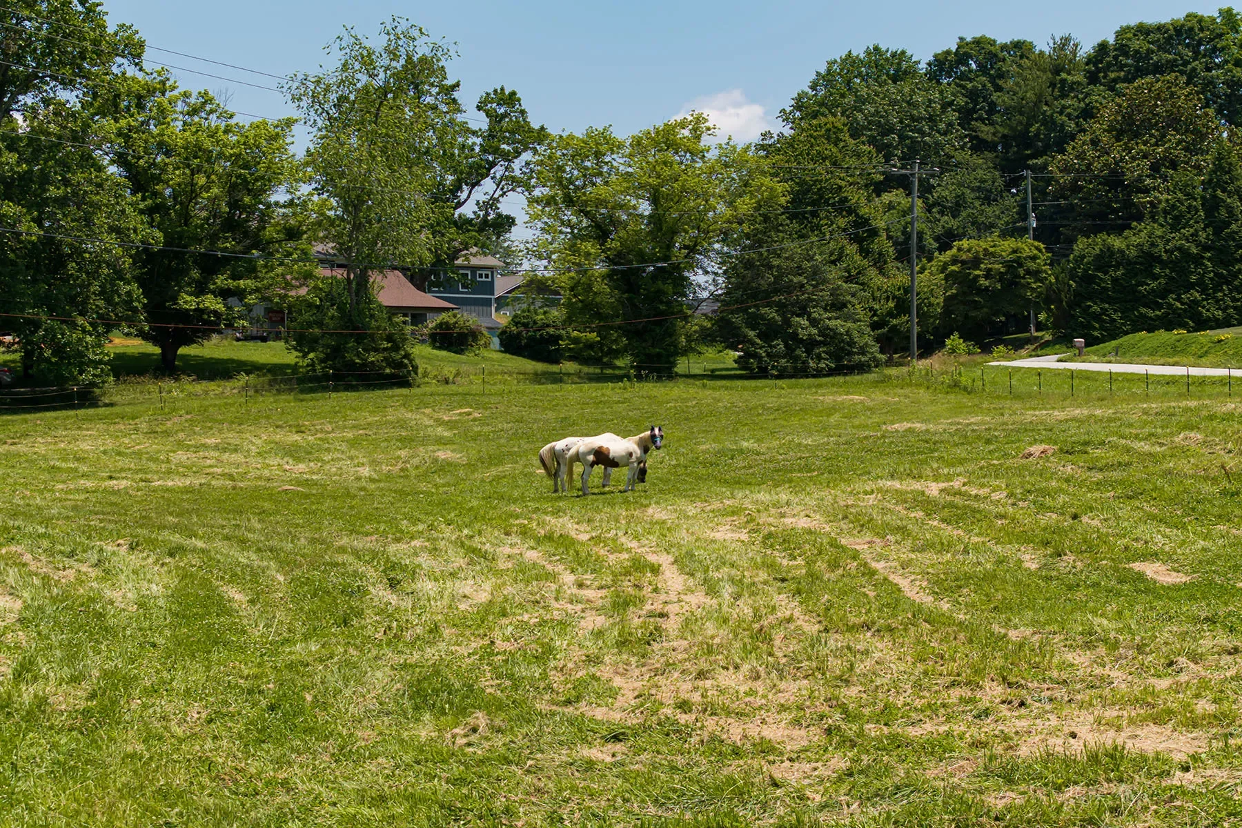 173 Avery Creek Road, Arden, NC 28704, Arden, North Carolina, United States. - Photo 2