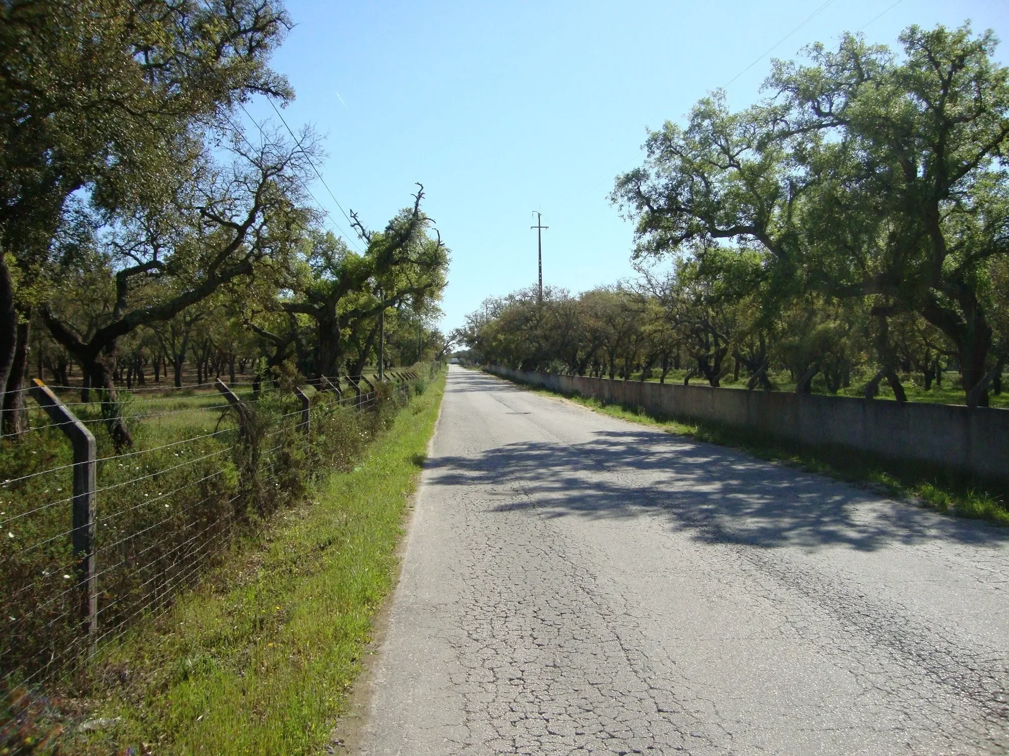 Setúbal, Alcochete, Setubal, Portugal. - Photo 28