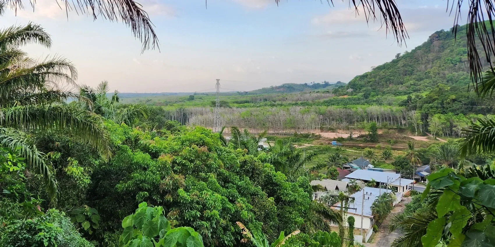 Phuket,, Mai Khao, Phuket, Thailand. - Photo 3